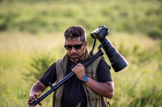 Exploring for Giraffe at Zuka Game Game Reserve